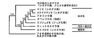 18SrRNA`q̈pĉ͂}Ƌ߉̌n֌W